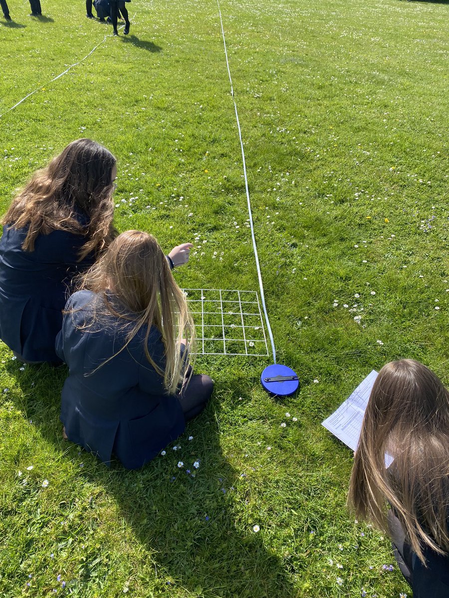 KJAR SCIENCE (@sciencekjar) on Twitter photo Year 11s in action with their quadrats and transects on a sunny 🌞 day!! Year 11s in action with their quadrats and transects on a sunny 🌞 day!!