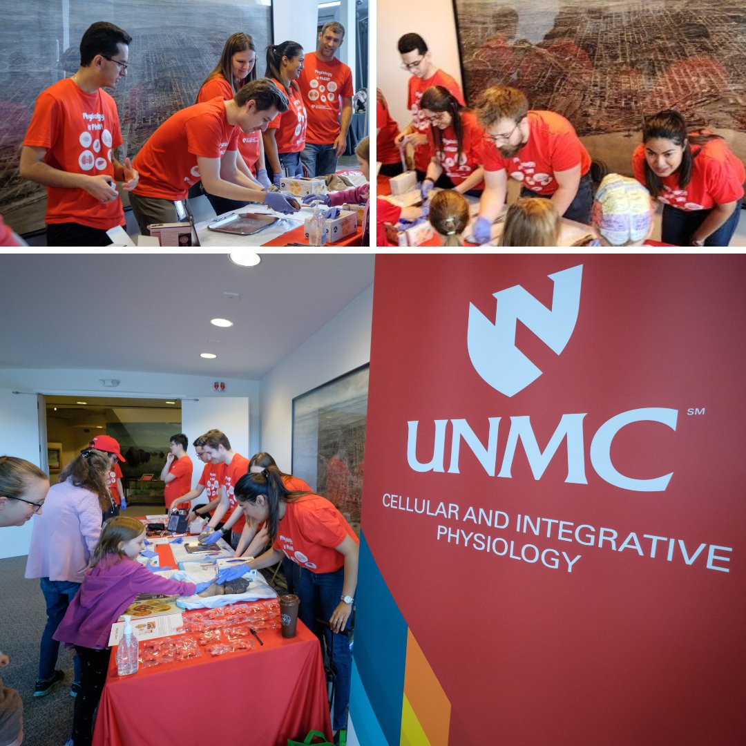 IPMM Graduate Students had a great time at the NE SciFest this weekend!  Attendees learnt about the heart and lungs by doing some hands-on experiments.
@Gundrylab @unmcigpbs @UNMC_CHVR