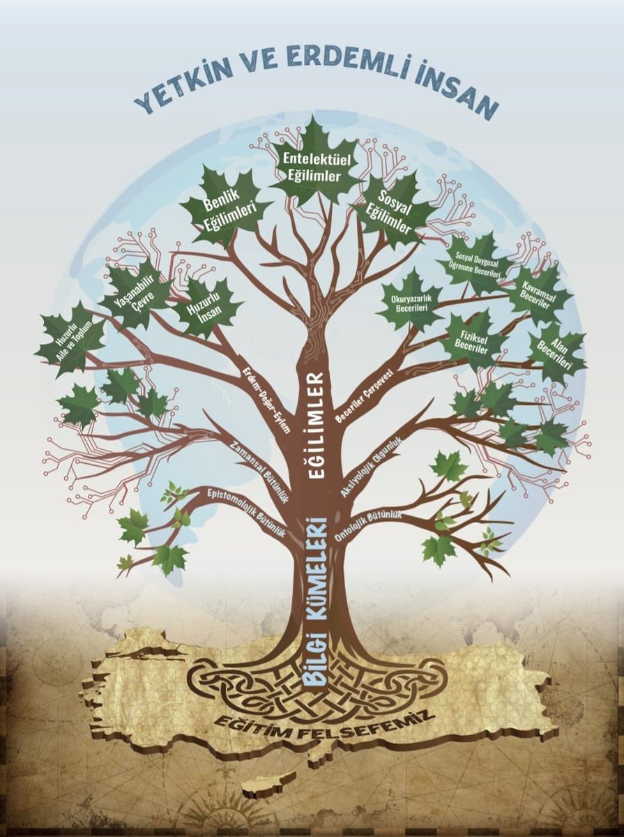 SAPANCA ANADOLU LİSESİ (@lisesisapanca) on Twitter photo 