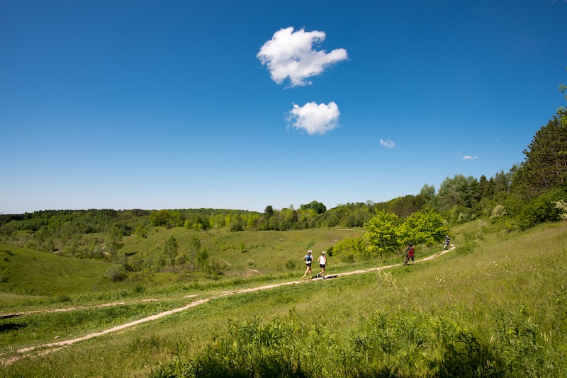 #DYK Only 441 hectares of the Greenbelt is covered by grasslands? That is less than one per cent of the entire plan area! The scarcity of this ecosystem type in the Greenbelt reflects the national trend: grasslands are the most endangered ecosystem in Canada🌱