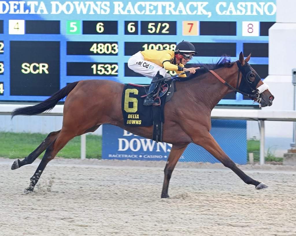 EMILY'S BULLET will also be in a Stakes race on Friday. She will be in the $60,000 Cajun Miss Stakes at Evangeline. Elio Barrera will be in the irons for Gerald Bruno, Jr., Chasey Deville Pomier, and Our Blue Streaks Stable. 📸 Coady Photography