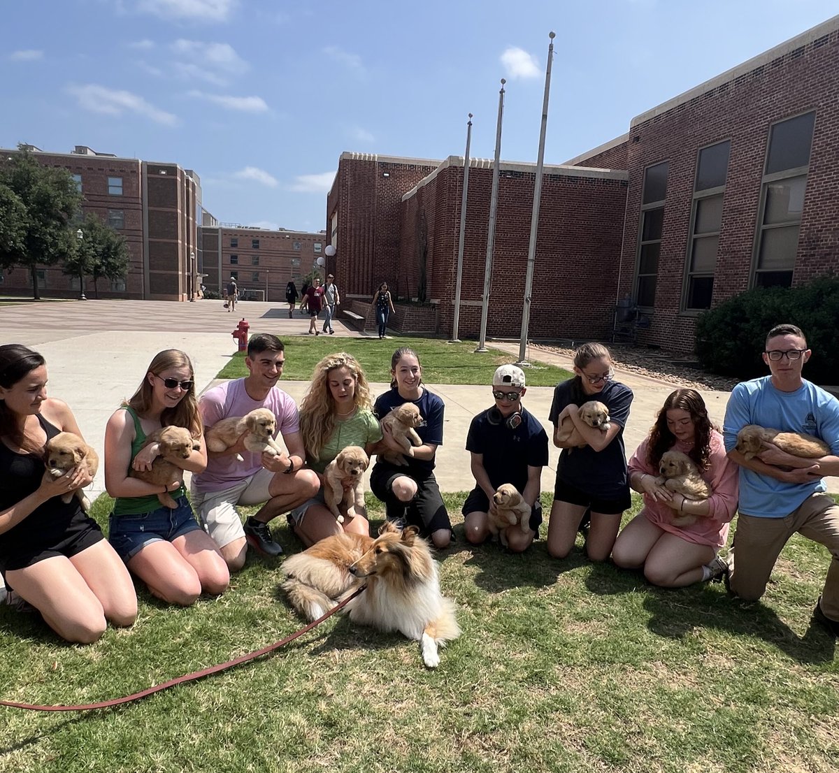 Puppies on the quad!! I repeat!!! There are puppies 🐾 ON 🐾 THE 🐾 QUAD! 🐾
