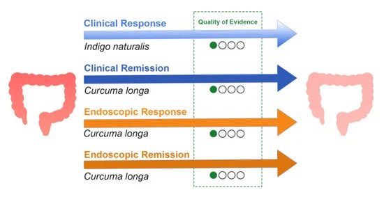 Systematic review and meta-analysis on herbal therapies for ulcerative colitis. #MedTwitter #GITwitter #IBD mdpi.com/2072-6643/16/7…