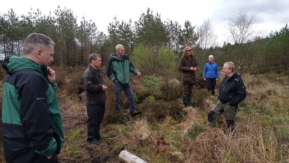 Wonderful day out in Queen Elizabeth Forest Park with @Forest_Research and @ForestryLS showing our @SUPERB_project European colleagues the Scottish CCF, Natural Flood Management, riparian woodland, and high-elevation forest restoration demo sites. Only a few midges were about!