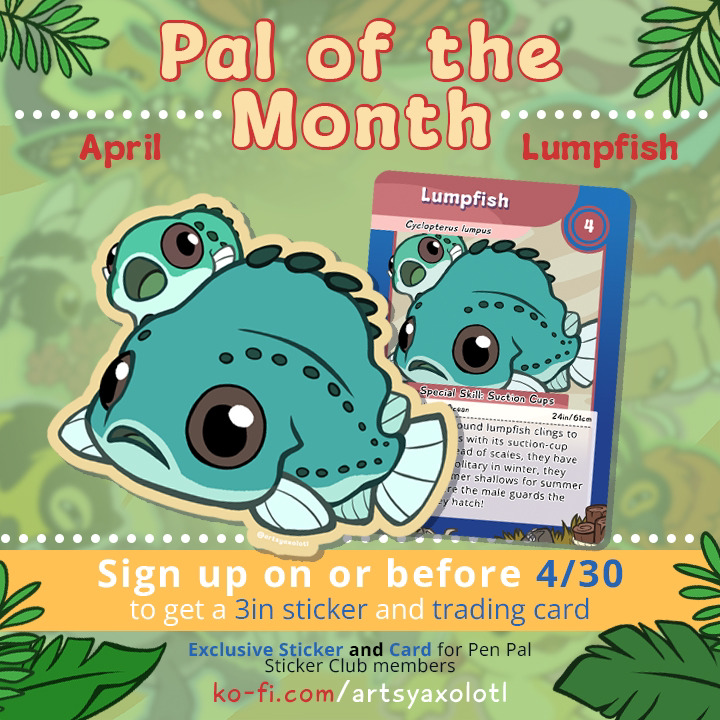 🚨 Last day!! These beautiful and powerful lumpfish will be gone May 1st, so sign up now if you wanna scoop them up for yourself :)