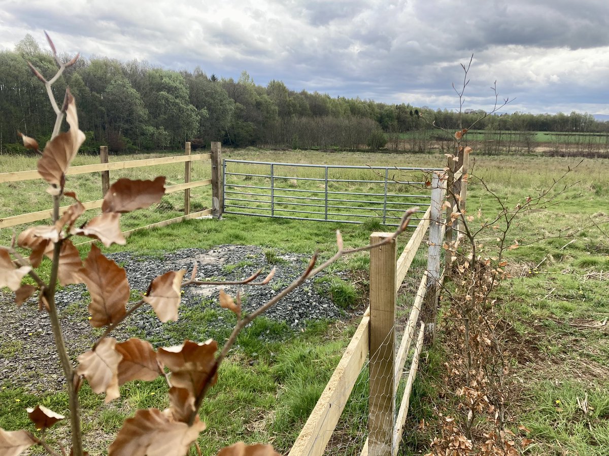 Andrew_p_Moran's tweet image. Thanks to @remake_scotland #ToolLibrary for the loan to complete my new gate