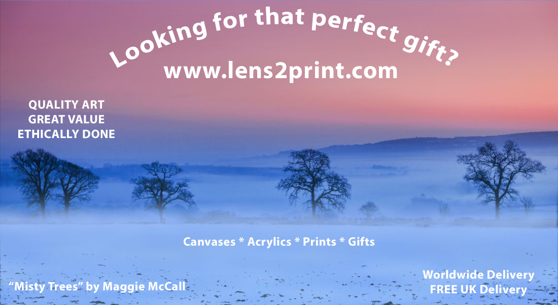For more fabulous images from Maggie : bit.ly/MaggieMcCall lens2print.com QUALITY ART * GREAT VALUE * ETHICALLY DONE #lens2print #freeukshipping #ethical #canvasprints #bestvalue #firstforart #gifts #qualityart #bestprices #acrylicprint