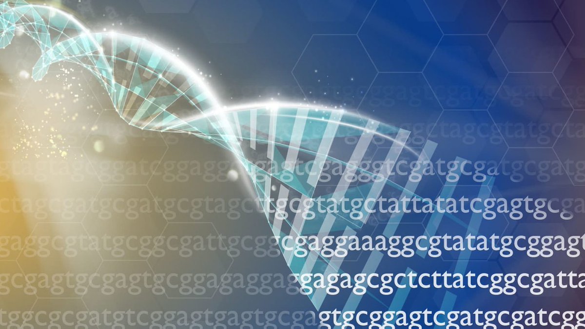 #Bioinformatique : l’IA et les superordinateurs, l'avenir de la recherche et de l'innovation en santé animale ? ow.ly/tXHB50Rsfhi