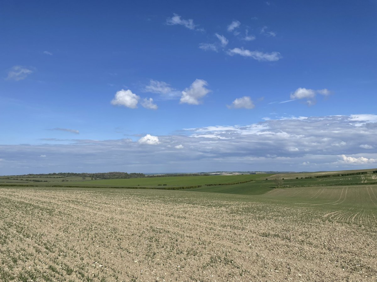 Victoria Sandberg tweet media