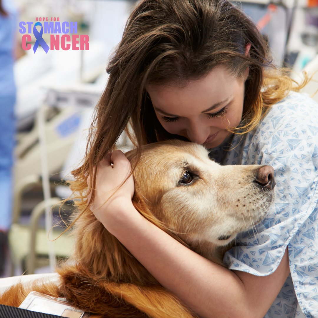 Happy Therapy Animal Day! 🐶❤️ Animals can provide so much healing a support throughout the cancer journey. Do you have a furry friend that has been there for you on the hardest days? Leave their picture in the comments below For IG: (post a tribute to them in your stories ...