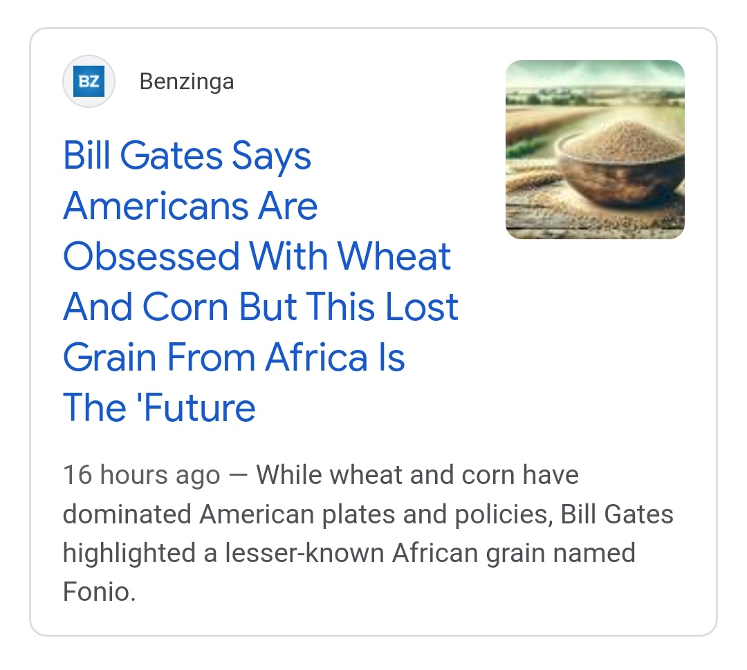 Eugenics Bill gates of hell finally gets hold of Fonio. Now, watch as one of the smallest grains in the world becomes one of the biggest in the world. 🤣 good thing I secured my seeds on time 😅