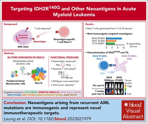 Neoantigens arising from recurrent AML mutations are immunogenic and represent novel immunotherapeutic targets. ow.ly/puf750RopcP #immunobiologyandimmunotherapy #myeloidneoplasia