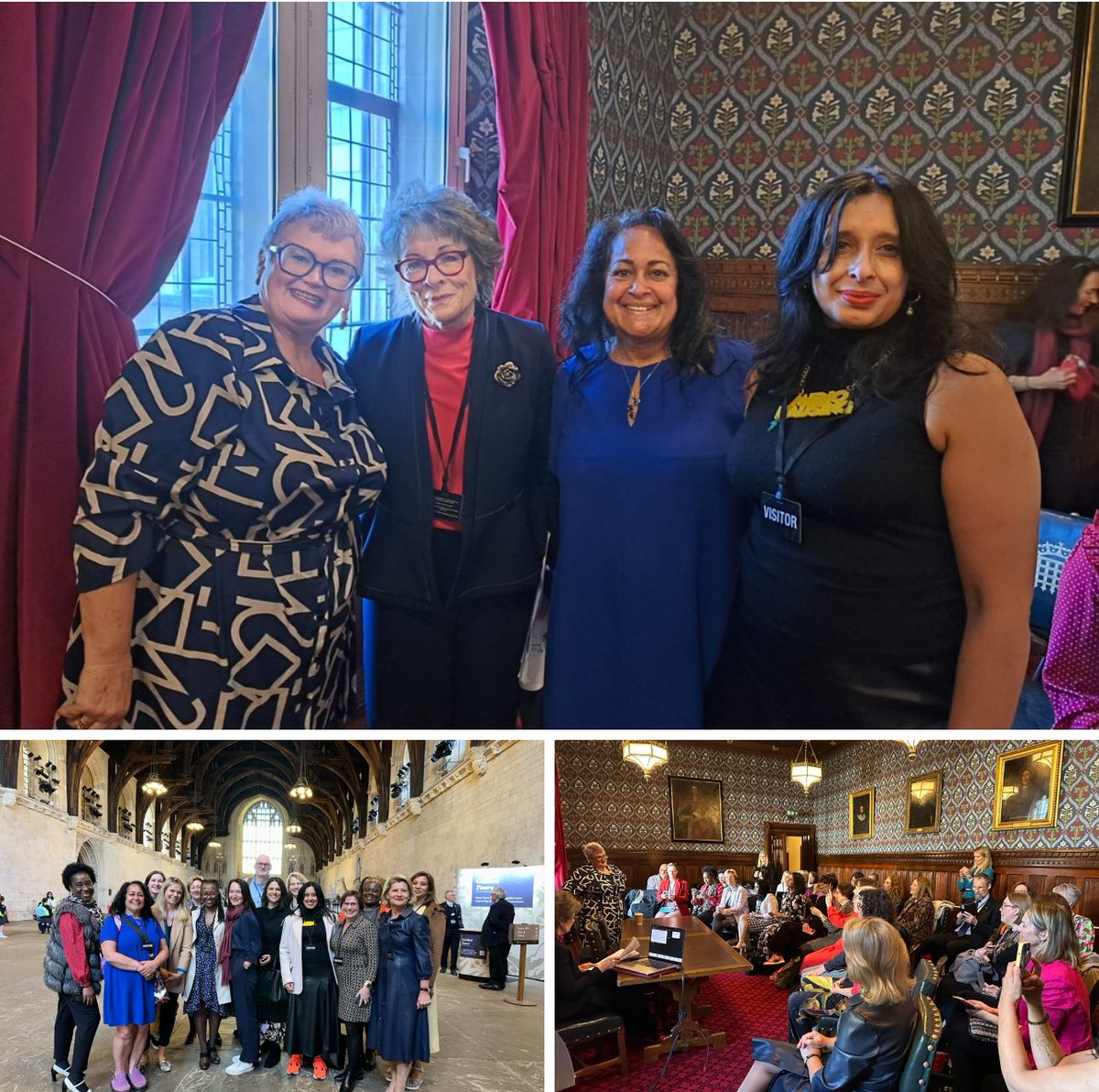 Thank you so much @carolynharris24 for making this happen. A House of Commons event on the need for menopause education. And thanks to our co chair @lregan7 and my partner in crime Shema Tariq @savoy__truffle and our amazing speakers and audience.