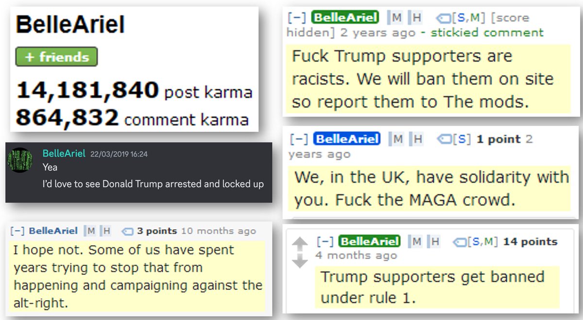 Powermod u/BelleAriel is one of Reddit's most vocal anti-Trump advocates, racking up 14 million karma primarily by hating on Trump.

u/BelleAriel is not a US citizen
u/BelleAriel lives in the UK
u/BelleAriel has no connection to America

This is foreign election interference