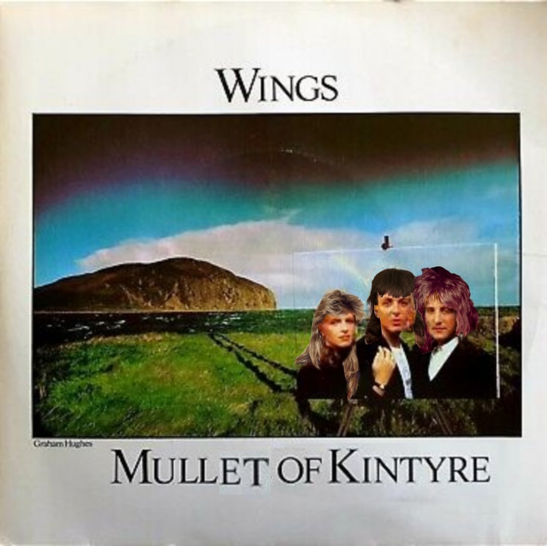 Mullet of Kintyre
#HairstyleInASongOrMovie