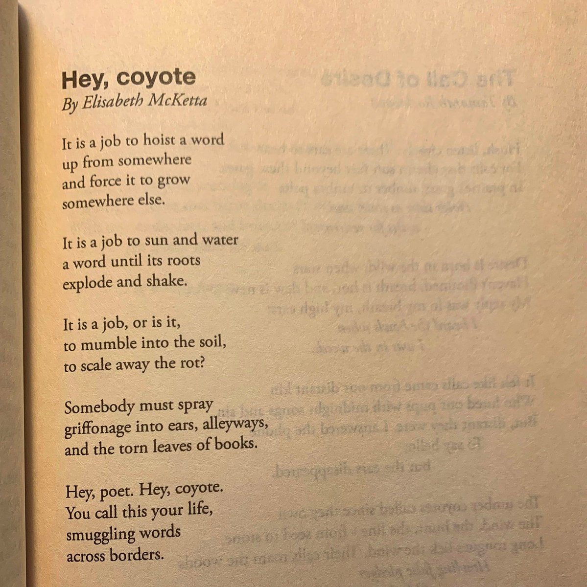 'POETICS: Coyote,' edited by Tamarah Rockwood