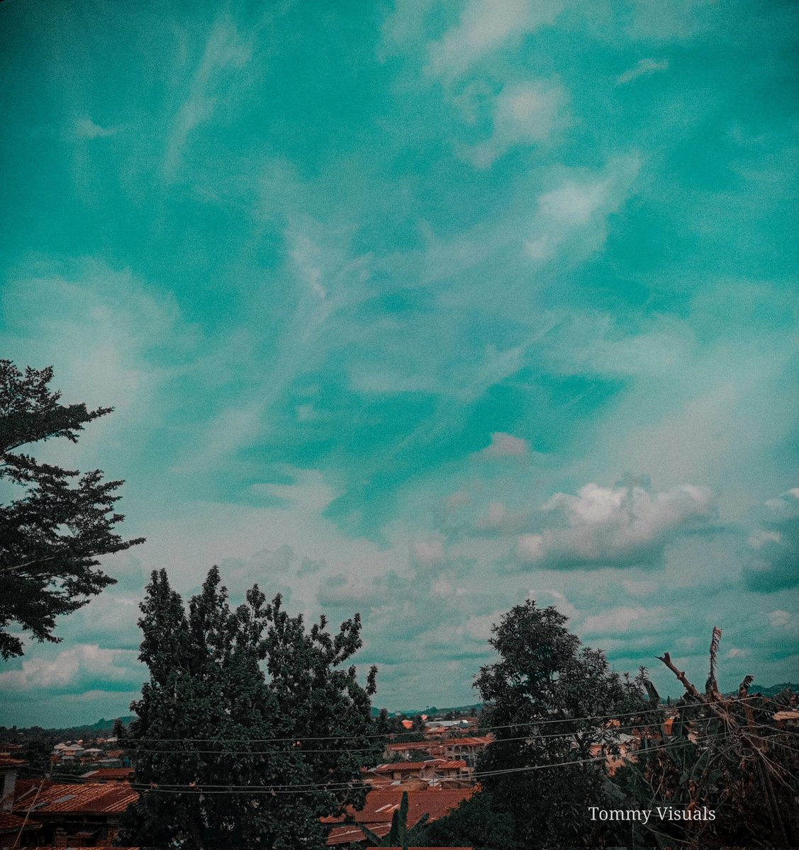 Tommyvisuals12's tweet photo. Goodevening X. https://t.co/UVhaA55p3t