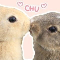 lovesickdoe's tweet photo. me &amp; who https://t.co/t3aCap7C5n