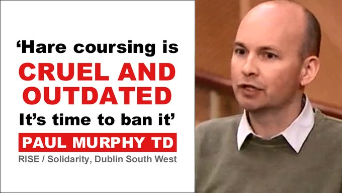 'Hare coursing is cruel and outdated. It's time to ban it' - Paul Murphy TD. Sign the petition change.org/p/ban-blood-sp… and retweet to urge the Irish Government @SimonHarrisTD @MichealMartinTD @EamonRyan @DarraghOBrienTD to #BanHareCoursing