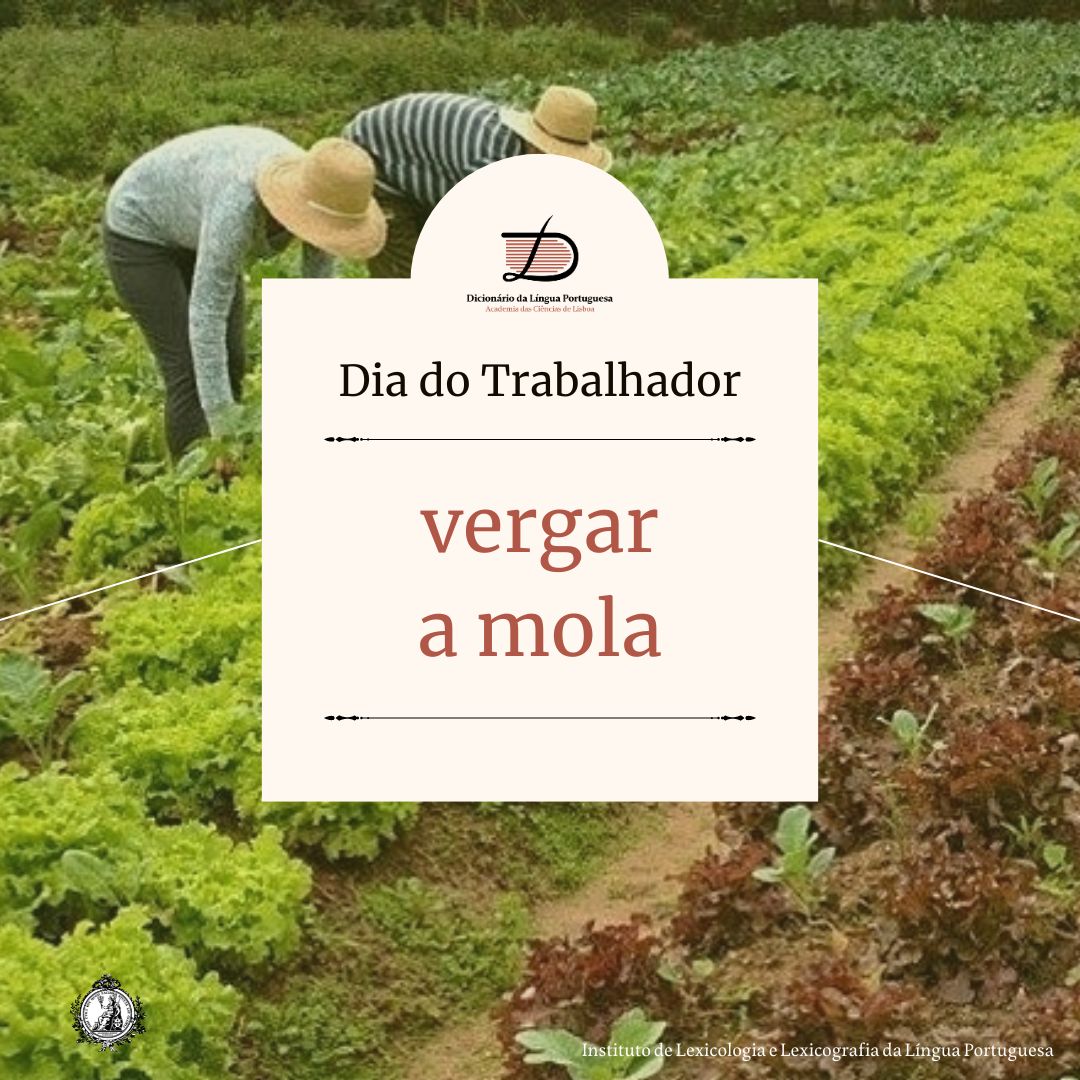 Dia do Trabalhador | vergar a mola

Sabe o que significa vergar a mola? 

👉 Consulte o DLP para descobrir o significado desta expressão: dicionario.acad-ciencias.pt/pesquisa/?word…

Instituto de Lexicologia e Lexicografia da Língua Portuguesa
✉ illlp@acad-ciencias.pt
#illlp