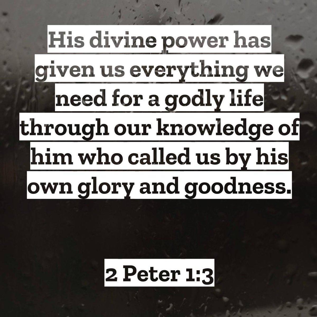 2 Peter 1:3

#verseoftheday
#dailyverse