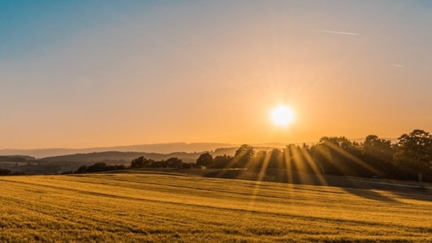 NRCS offers a variety of programs, services, resources and tools to help farmers, ranchers, forest landowners and partners pursue voluntary conservation efforts to deliver climate solutions: bit.ly/4aRgvpV