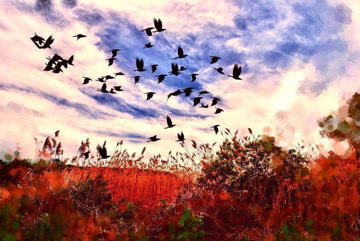 Art of the Day: 'Birds Over a Field'. Buy at: ArtPal.com/artofmine?i=10…