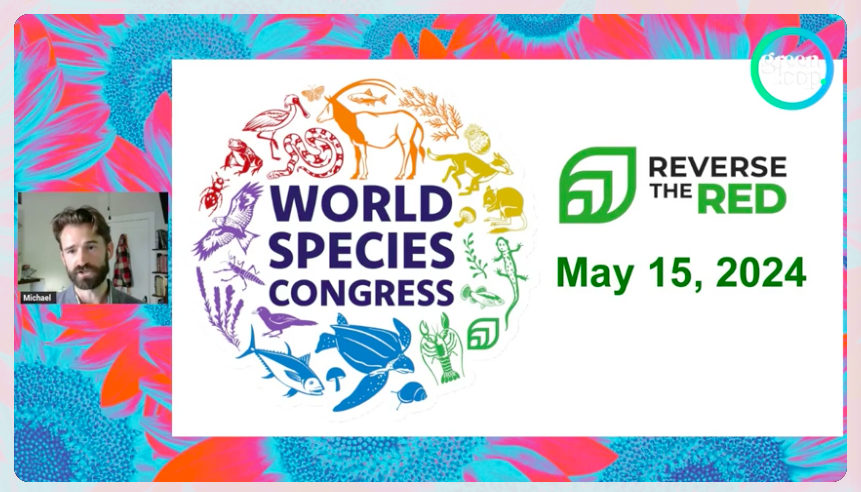 Michael Clifford on how @ReversetheRed1 is trying to strategically co-ordinate #conservation efforts, with initiatives such as the World Species Congress. 'It's possible to reverse #biodiversity loss & recover species Come join us: tinyurl.com/mrxwpx68 #greenloop24