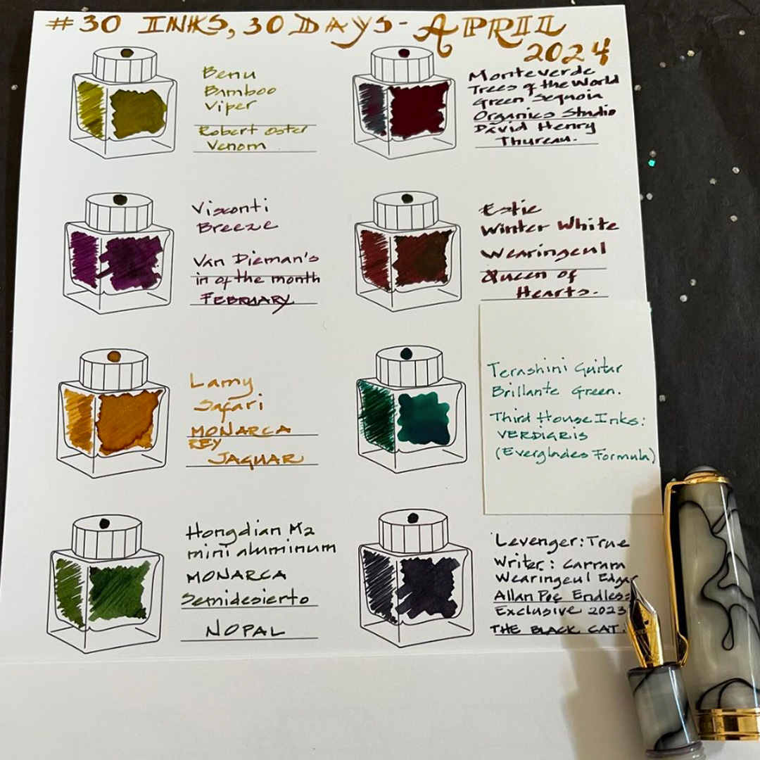 30 inks, 30 days of April! Thanks, @issa_gaytan for featuring our True Writer Carrara fountain pen.