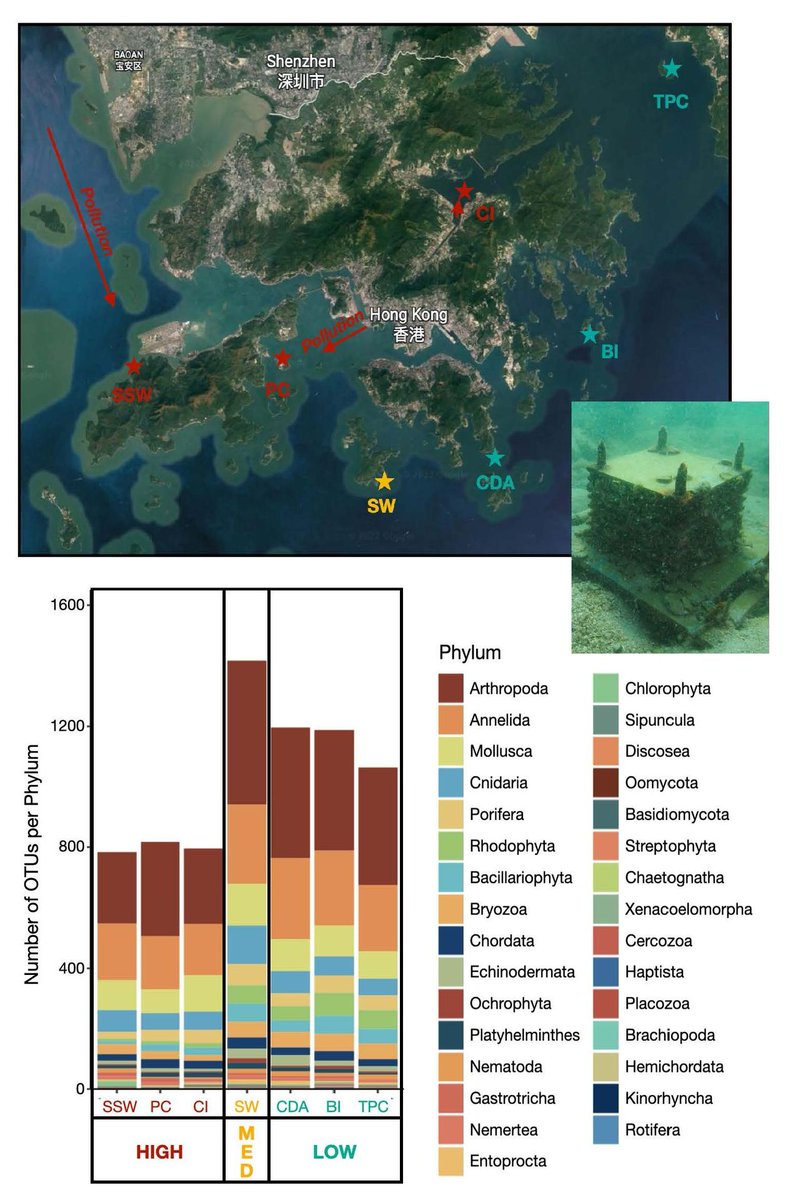 OUT NOW Life goes on: Spatial heterogeneity promotes biodiversity in an urbanized coastal marine ecosystem 📄 onlinelibrary.wiley.com/doi/full/10.11… @symbio_shelby @stable_isodope @GuibertIsis