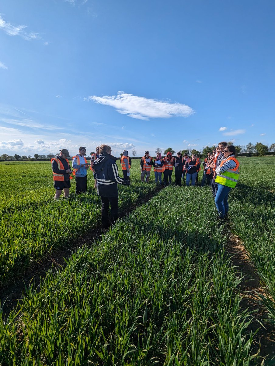 Day 2 - G’s fresh (lettuce), Camgrain and NIAB field trials. Fantastic opportunity for students.

Cyfle wych i myfyrwyr gweld busnesau hollol wahanol i beth sydd efo ni yn Aberystwyth. 

Thank you to our hosts👏🏻