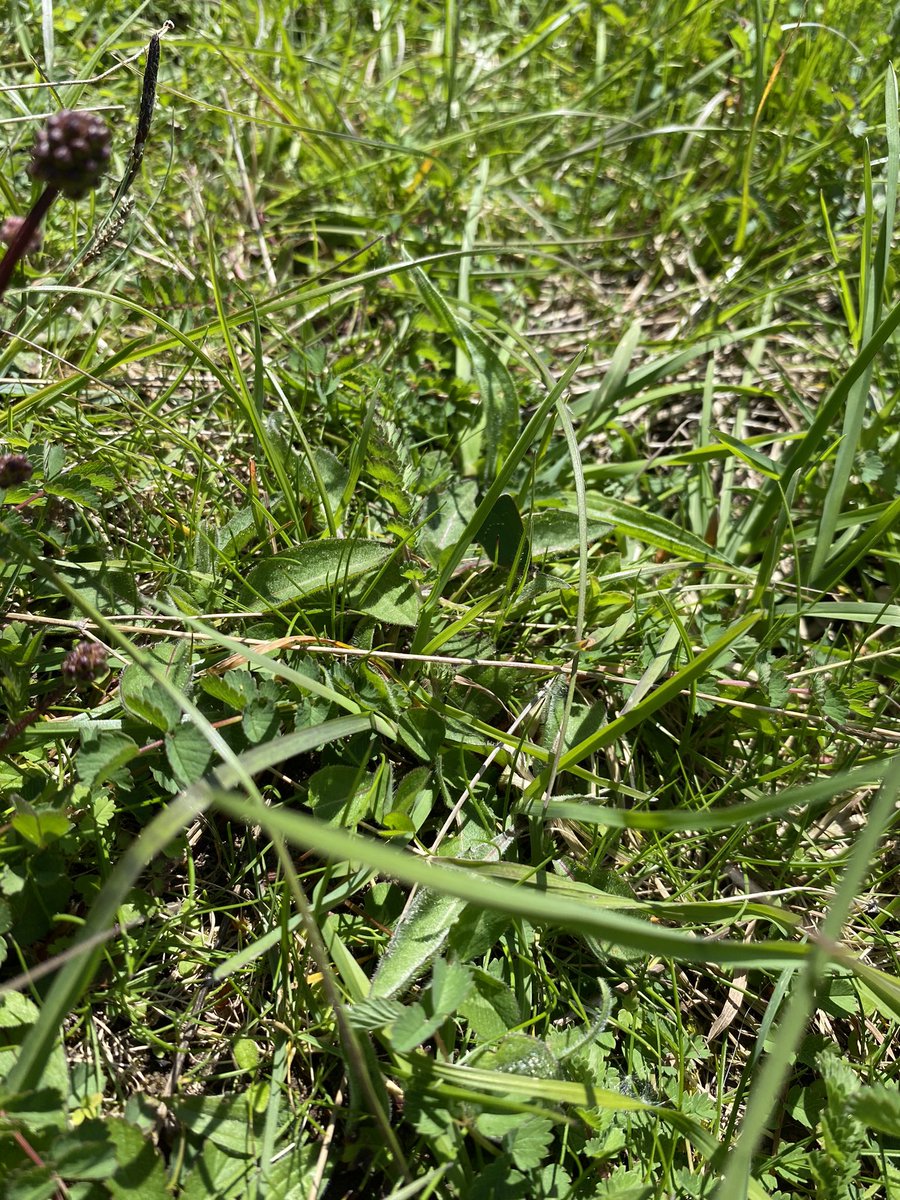 Nick Marriner tweet media