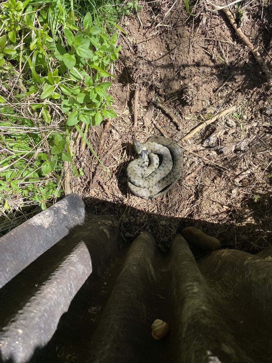 Nick Marriner tweet media