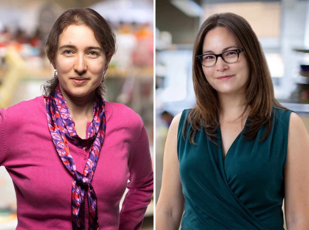 As part of its $7 million “Prebys Research Heroes” program, the Prebys Foundation awarded Salk Professor Tatyana Sharpee and Assistant Professor Dannielle Engle each $500,000 to fund their research. The grants will be dispensed over two years and are part of 14 grants the