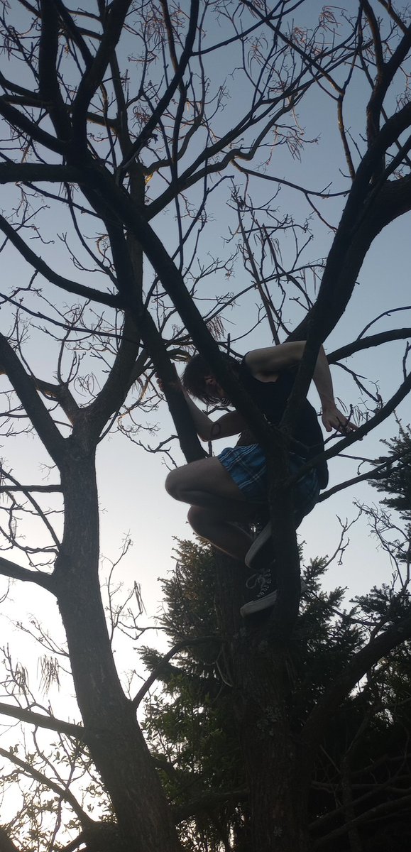 urtypeofm3tal's tweet photo. kiedy twoj chlopak to malpa 😭☝️🤣 #monkeymode #gomonkey https://t.co/3sXp1BwrmJ