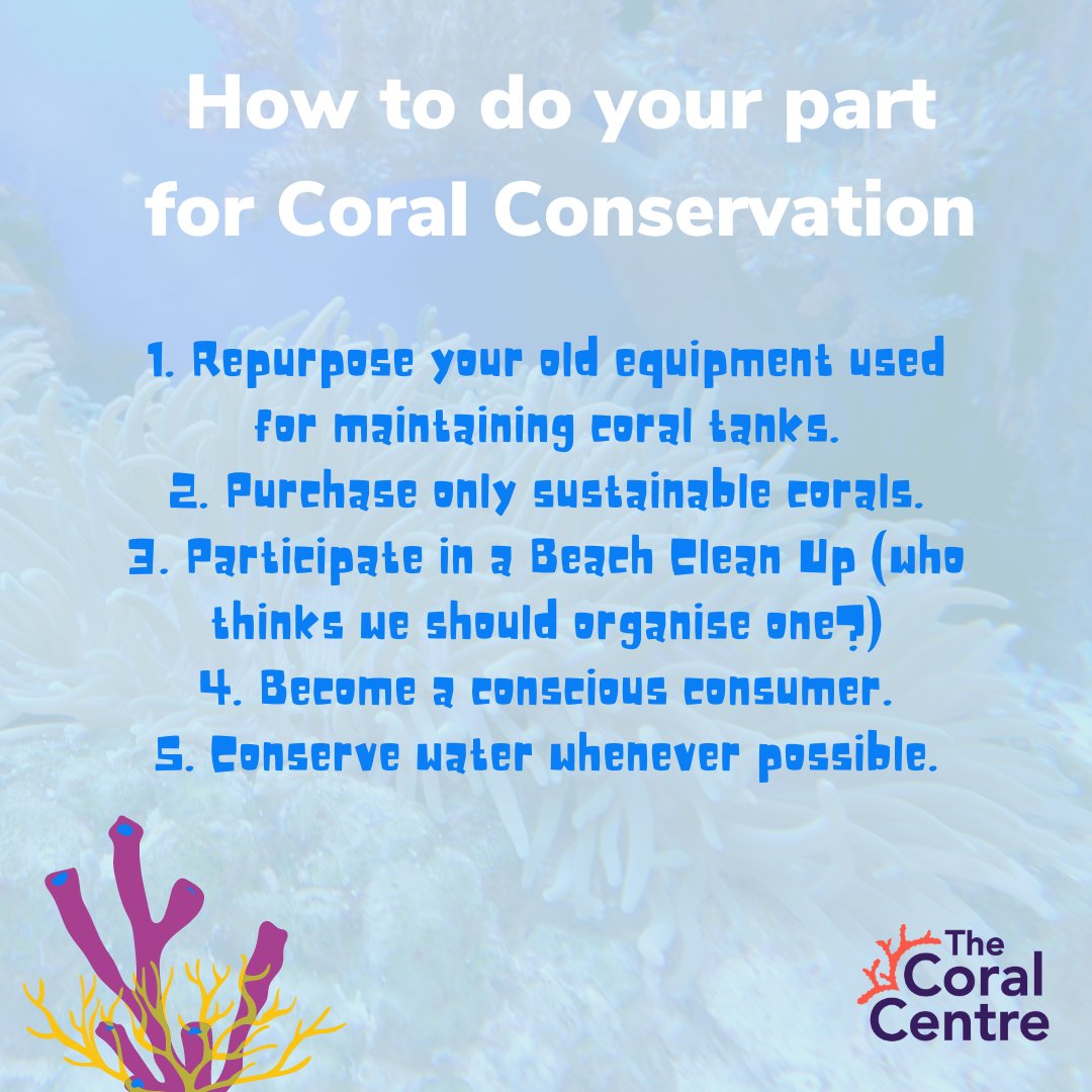 It is predicted that 90% of the world's reefs will face severe threats by the end of the decade, but there are ways we can help protect them. These small changes can make a big difference in preserving the health of coral reefs worldwide!