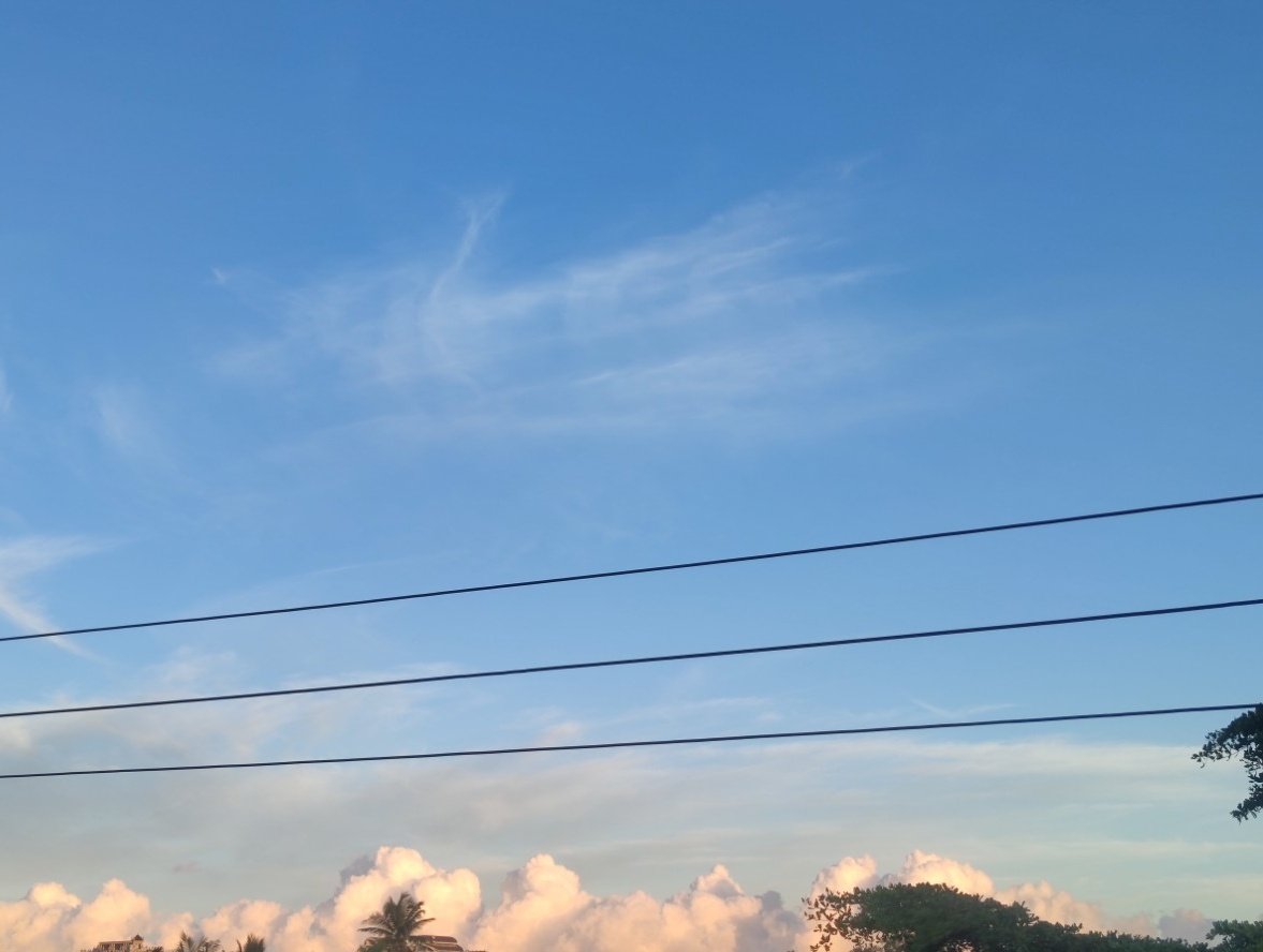 zhoumo (@zhoumo576725) on Twitter photo 