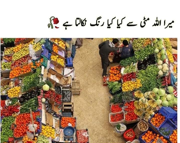 Muhammad Junaid Aslam tweet media