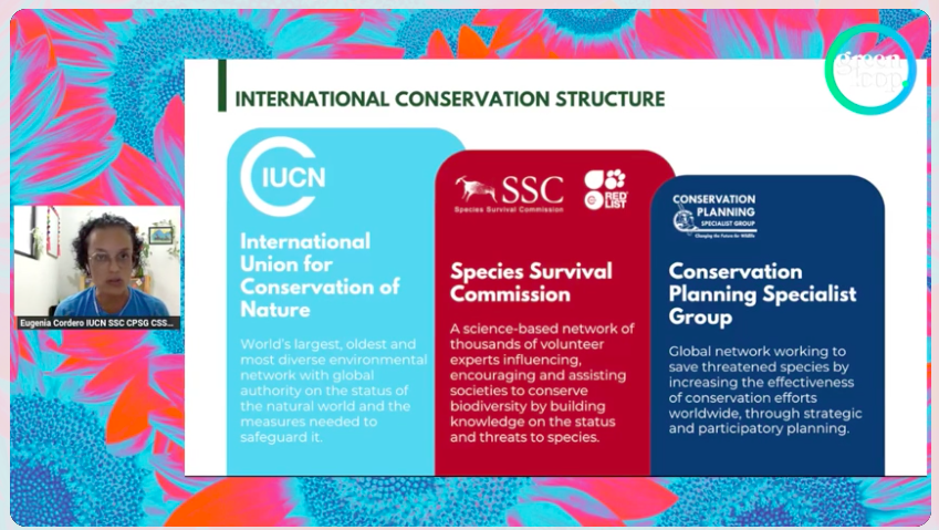 Eugenia Cordero Schmidt, Program Officer at Center for Species Survival #Brazil (CSS Brazil) @IUCN on how collaborating with @ReversetheRed1 helps them in their work. #greenloop24