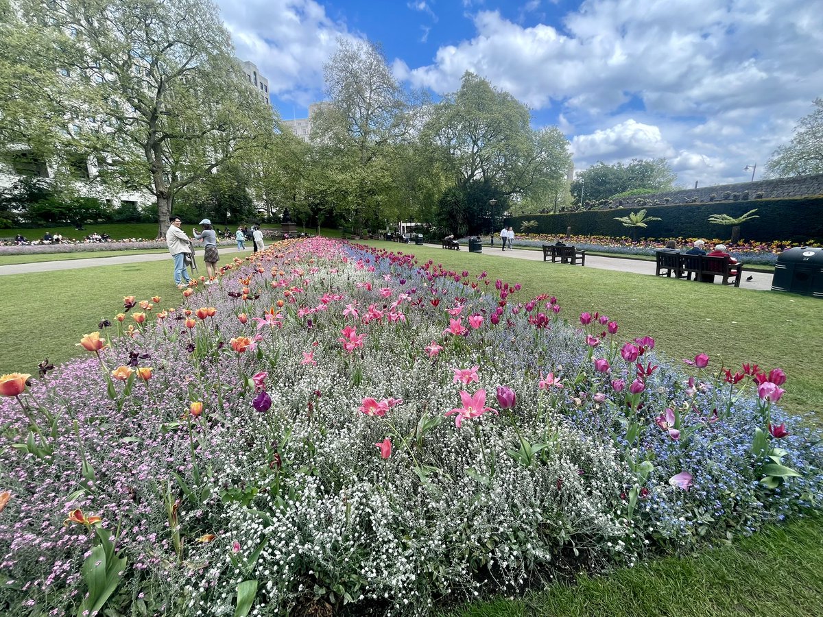K_Brickell's tweet image. Gorgeous tulip-filled commute 🌷 to @kclgeography today 

#tinyjoys #springtimeinlondon