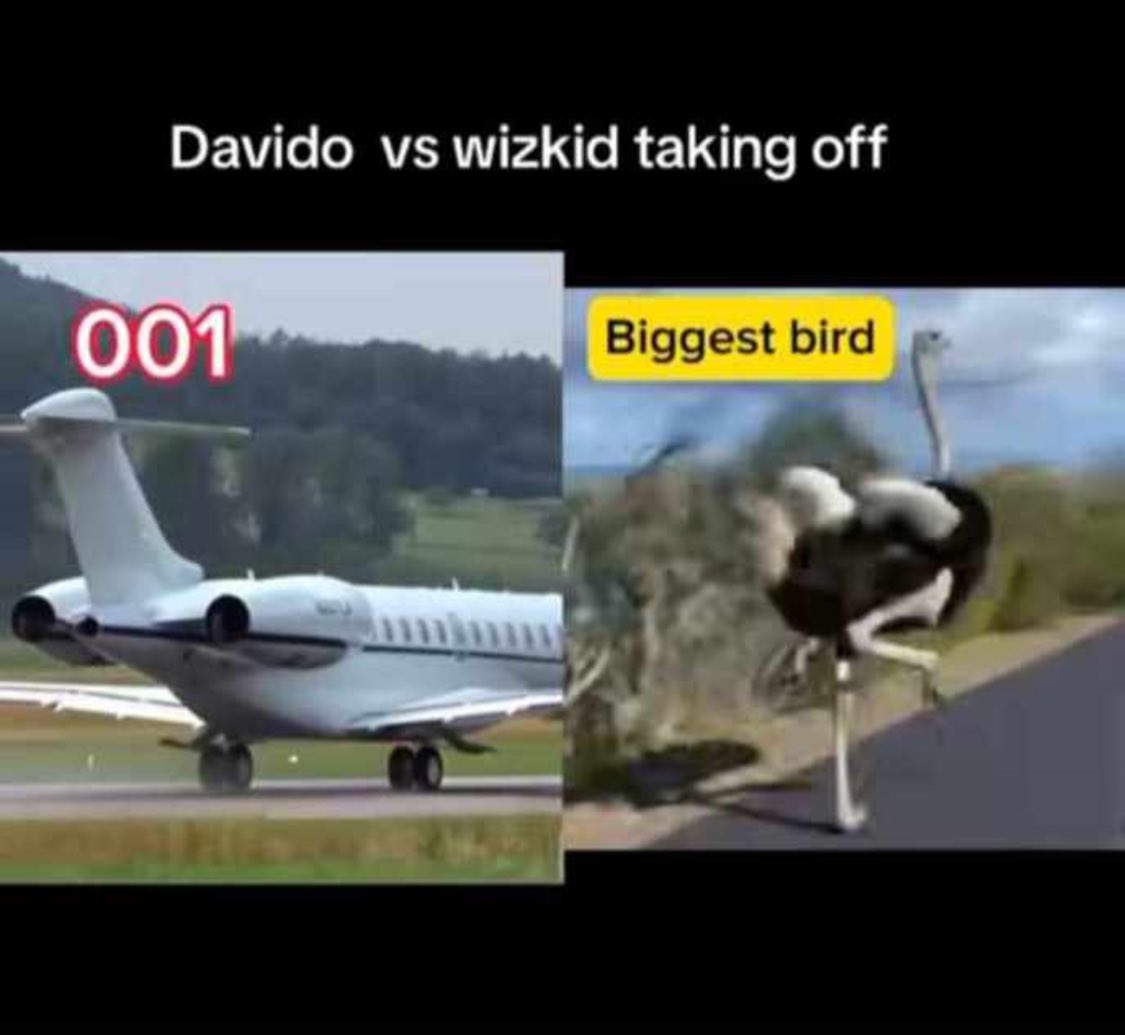 ModestyJrn's tweet image. What am i seeing here 😂😂