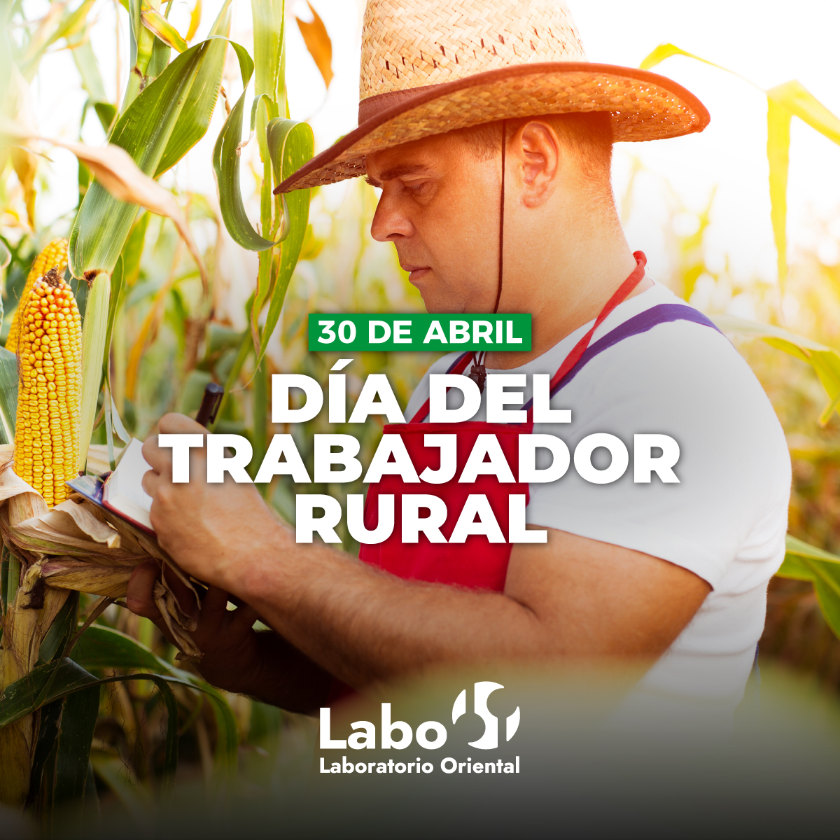 ¡Feliz Día del Trabajador Rural!