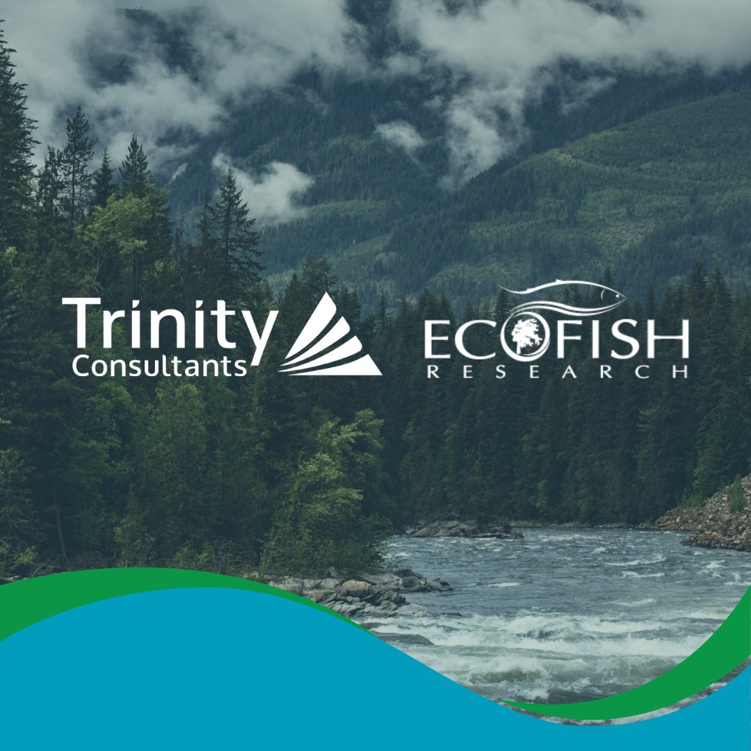 Ecofish is proud to introduce our updated logo featuring both Ecofish and Trinity logos! As part of Trinity Consultants, we're excited to showcase our partnership and continue delivering top-notch environmental consulting services to our clients. Keep following for more updates!