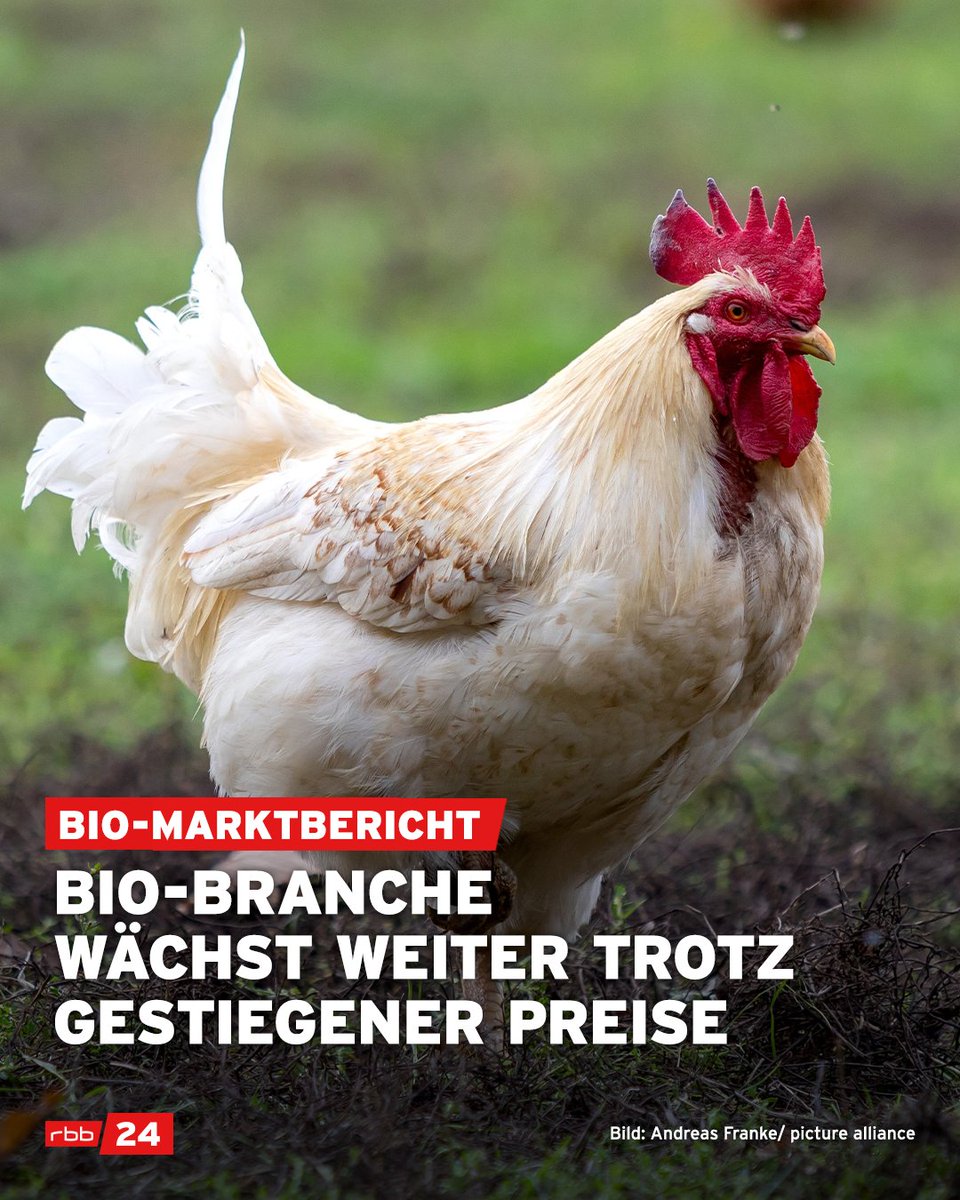 #Bio bleibt gefragt. Trotz der steigenden #Preise wächst der Markt an Bio-#Lebensmittel. In #Berlin und #Brandenburg halten sich Angebot und Nachfrage gut die Waage.