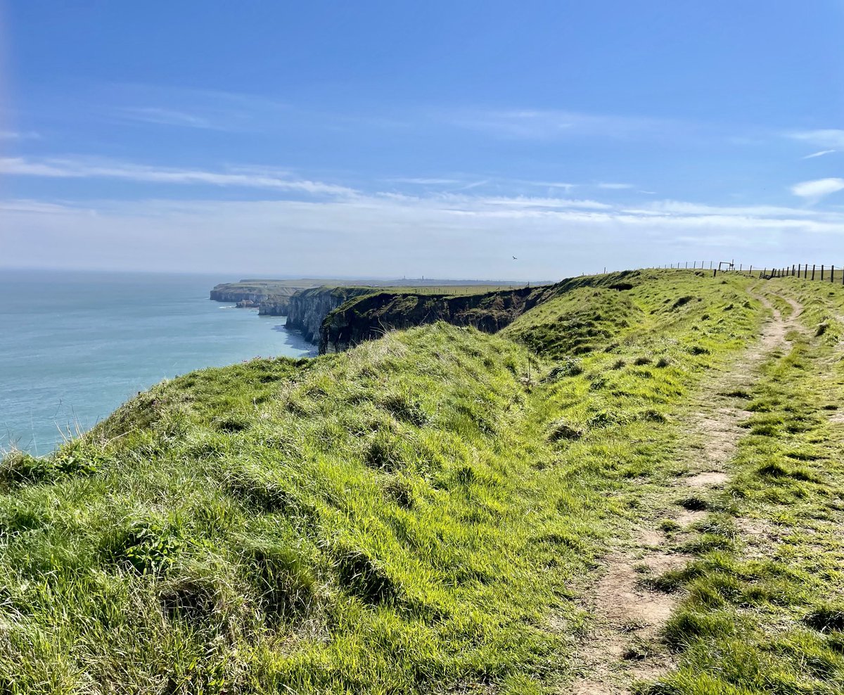 Flamborough Head today, a view south from North Dykes where 3 Red Kite were circling low. Also today on trek around, Cuckoo, 2 Whinchat, a few Wheatears and a smattering of the commoner migrant warblers.