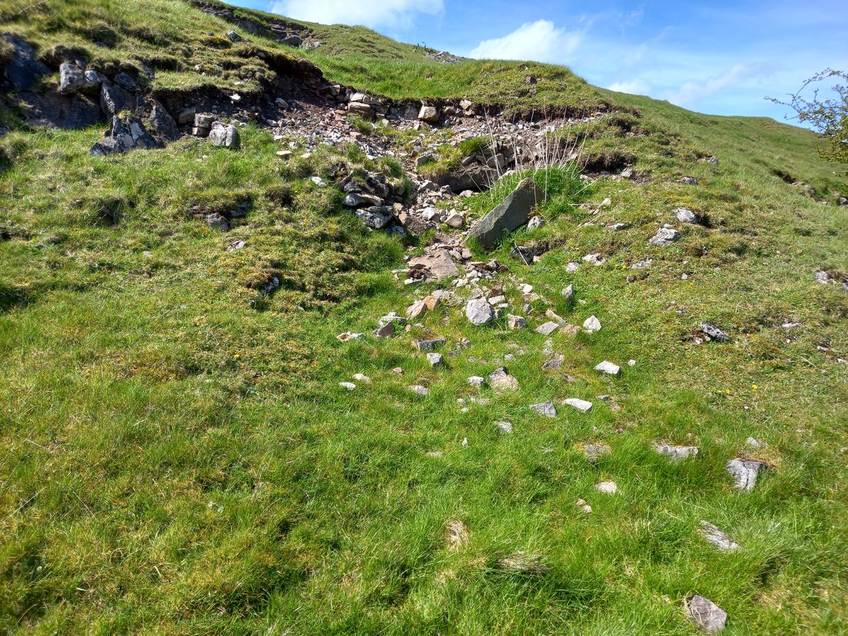 #kiln knew this kiln, but a recent land slip as revealed more,the flu etc, looks intact beneath.