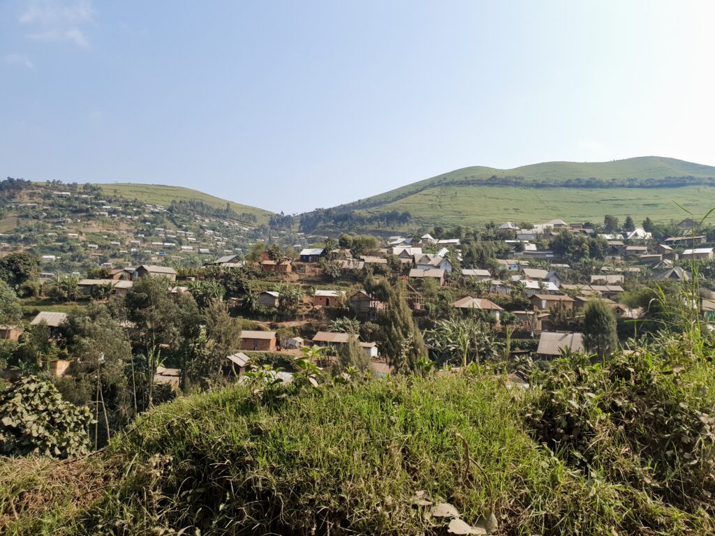 Update 3: The Rubaya coltan mine was one of the biggest in its kind in Africa and Tshisekedi left it under the control of the Burundian army and the FDLR so that the coltan could be shipped out via Bujumbura. Tshisekedi was paying them off with the profits.