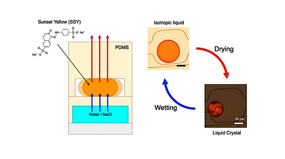 Microfluidics-Based Drying–Wetting Cycles to Investigate Phase Transitions of Small Molecules Solutions
astrobiology.com/2024/04/microf… #astrobiology #genomics #Microfluidics