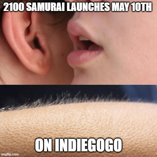 Little more than a week to the campain for 2100 Samurai #4 launches. 
Are ya ready kids? 
#ironage