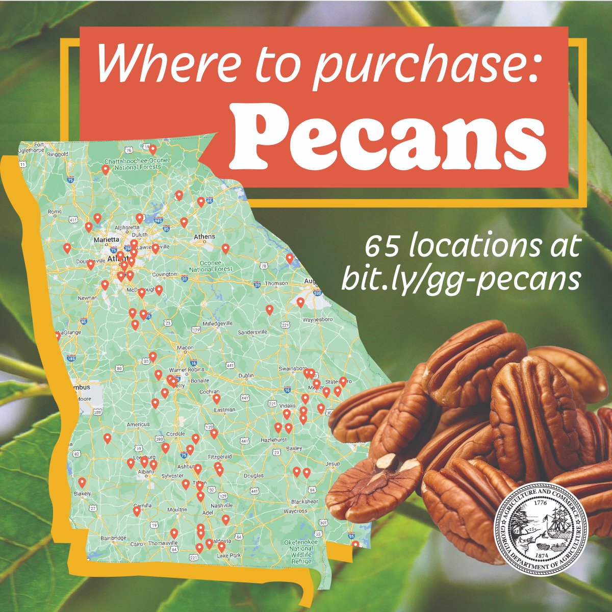 As #NationalPecanMonth wraps up, we're excited to share over 60 #Georgia businesses where you can find the freshest Georgia Grown pecans! Don't miss out—discover your next favorite treat today! bit.ly/gg-pecans #SmallBusinessWeek #GeorgiaGrown #Pecans #agribusiness